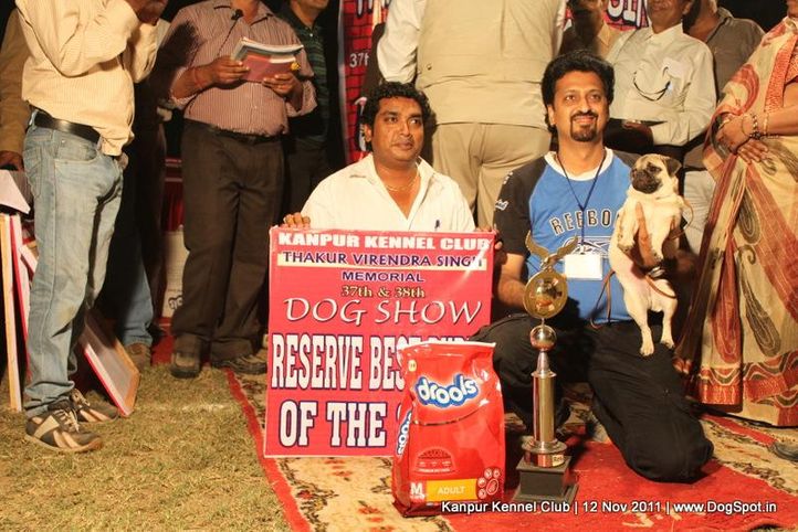 bis,sw-42,, Kanpur Dog Show 2011, DogSpot.in