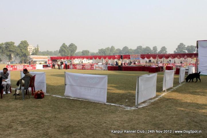 show ground,sw-72,, Kanpur Dog Show 2012, DogSpot.in
