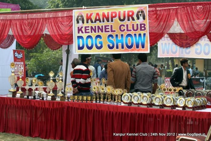 show trophy,sw-72,, Kanpur Dog Show 2012, DogSpot.in