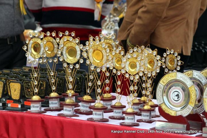show trophy,sw-72,, Kanpur Dog Show 2012, DogSpot.in