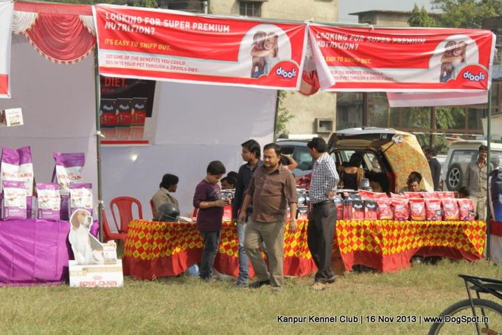 ground,sw-97,, Kanpur Dog Show 2013, DogSpot.in
