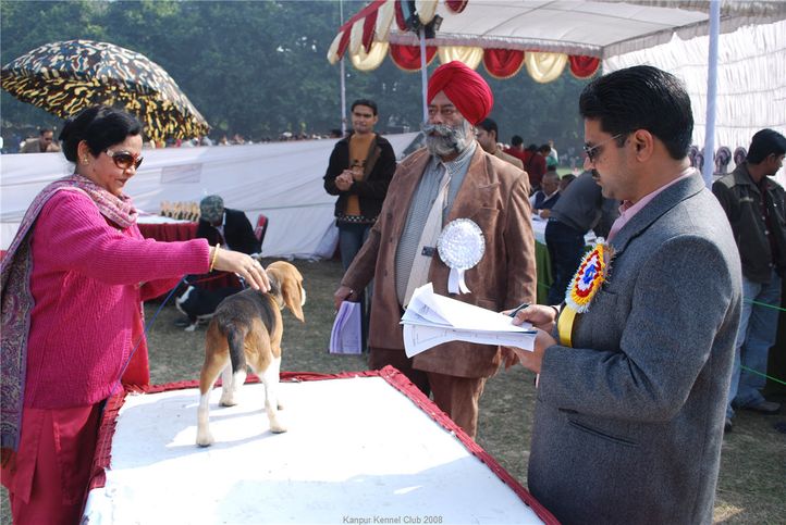 beagle,, Kanpur January 2009, DogSpot.in