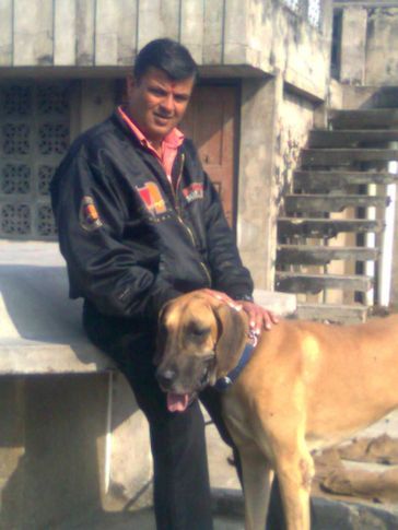 , Kataria Kennels, DogSpot.in