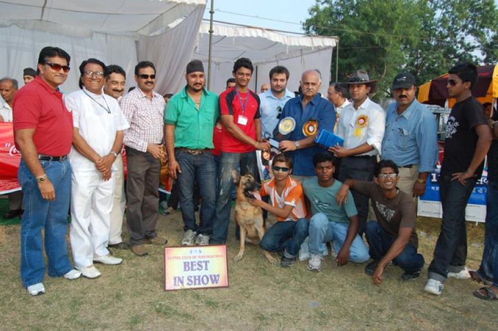 kennel club of mahakaushal 2010, Kennel Club Of Mahakaushal 2010, DogSpot.in