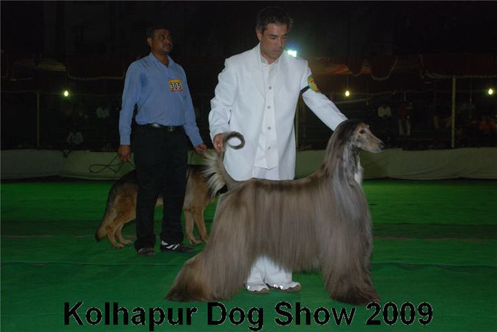 Afghan,, Kolhapur 2009, DogSpot.in