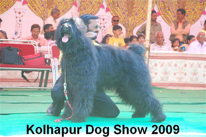 , Kolhapur 2009, DogSpot.in