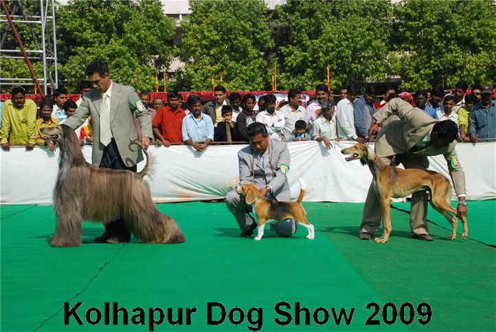 group judging,, Kolhapur 2009, DogSpot.in