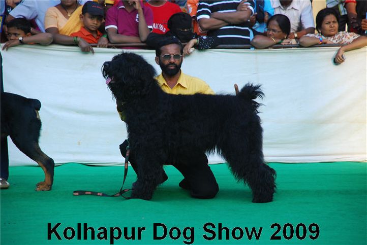 , Kolhapur 2009, DogSpot.in