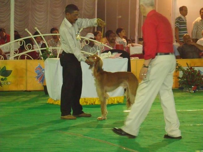 kolhapur dog show 2012, Kolhapur Dog Show 2012, DogSpot.in