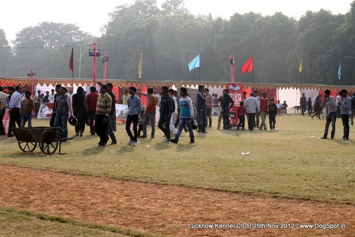ground,sw-71,, Lucknow Dog Show 2012, DogSpot.in