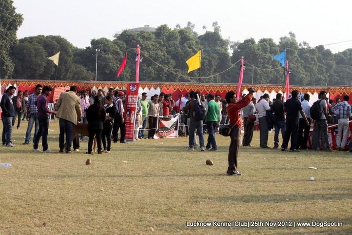 ground,sw-71,, Lucknow Dog Show 2012, DogSpot.in