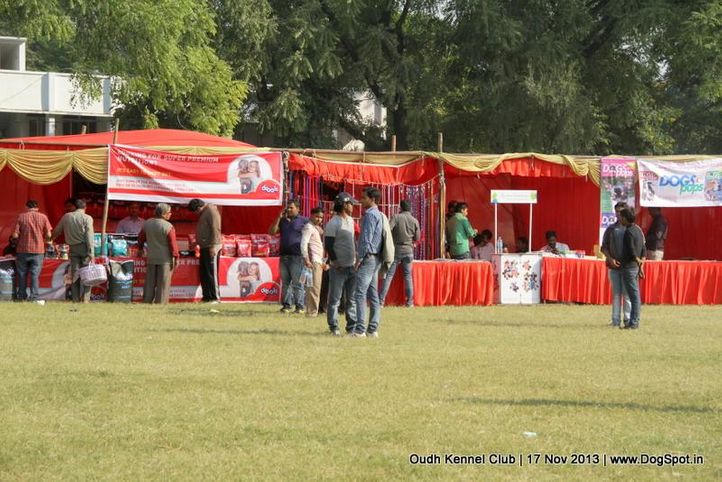 ground,sw-101,, Lucknow Dog Show 2013, DogSpot.in