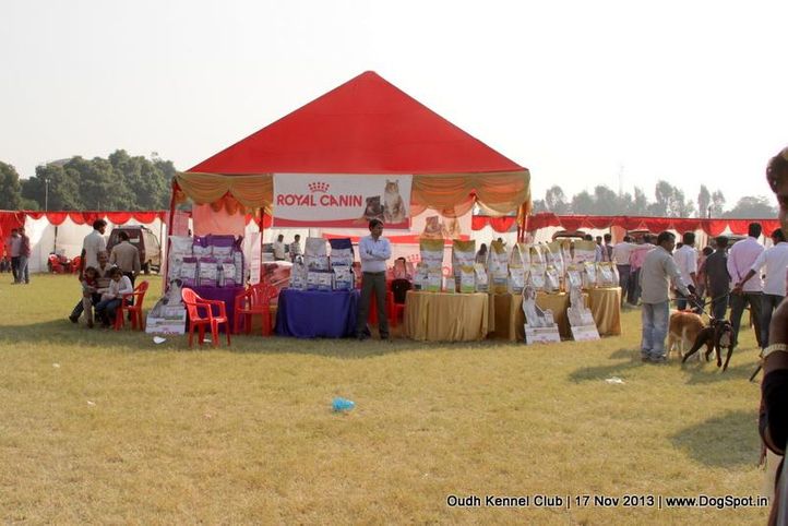 ground,sw-101,, Lucknow Dog Show 2013, DogSpot.in