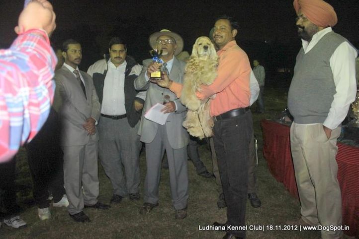line up,sw-66,, Ludhiana Dog Show 2012, DogSpot.in