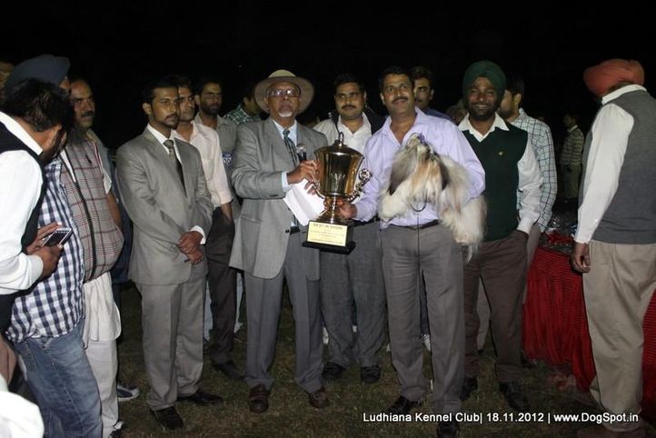 line up,sw-66,, Ludhiana Dog Show 2012, DogSpot.in