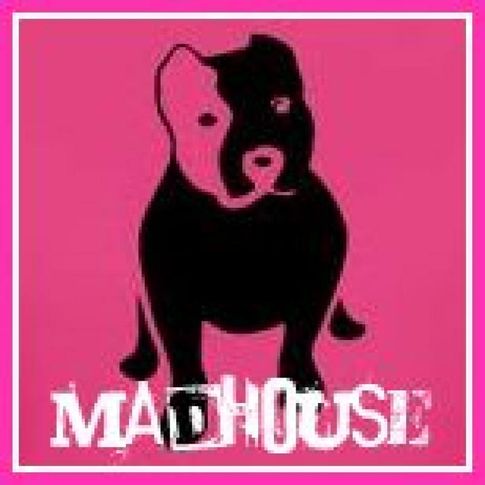 madhouse bullies   999-030-5773, MADHOUSE BULLIES   999-030-5773, DogSpot.in