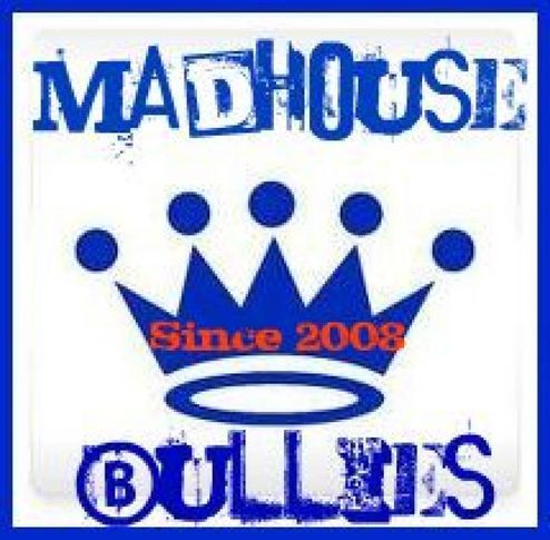 madhouse bullies   999-030-5773, MADHOUSE BULLIES   999-030-5773, DogSpot.in