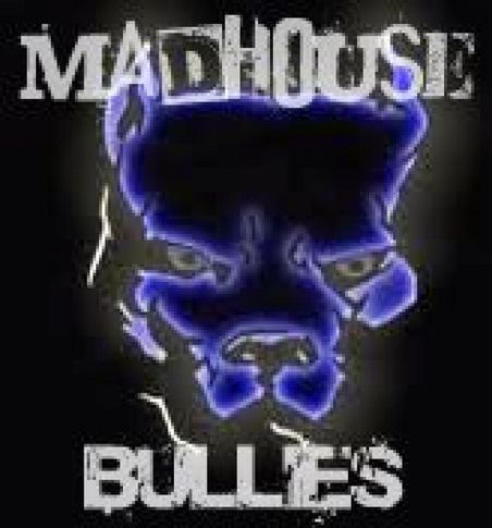 madhouse bullies my yard 2011, MADHOUSE BULLIES MY YARD 2011, DogSpot.in