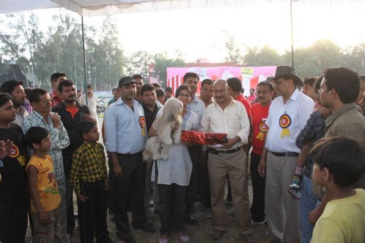 Lineup,, Meerut Dog Show, DogSpot.in