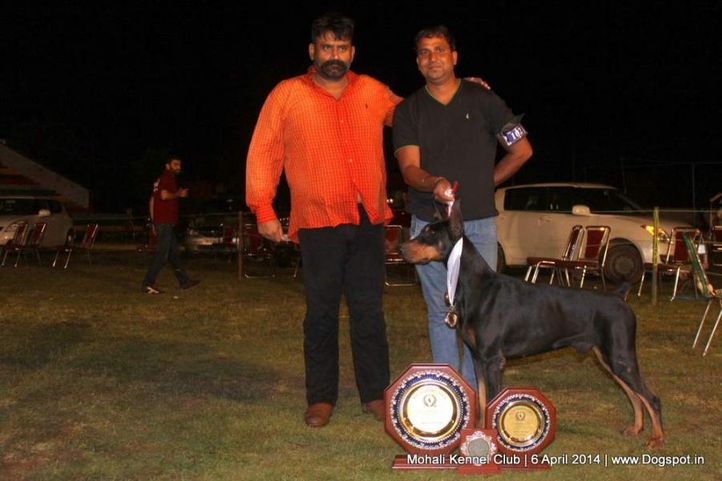people,sw-122,, Mohali Kennel Club, DogSpot.in