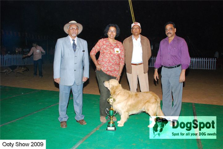 Best of show,lineup,, OOty Dog Show 2009, DogSpot.in