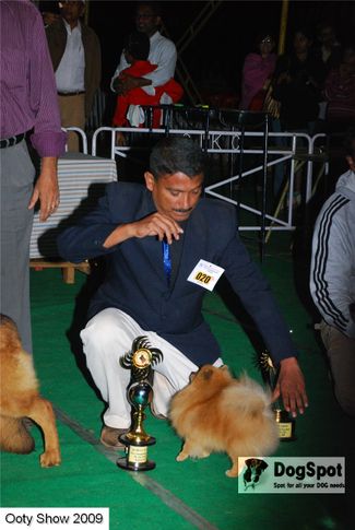 Best of show,lineup,, OOty Dog Show 2009, DogSpot.in