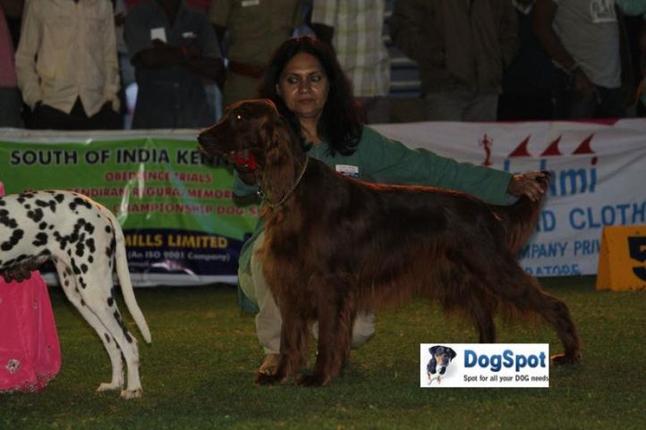 sw-18, lady handlers,, Ooty Dog Show 2010, DogSpot.in