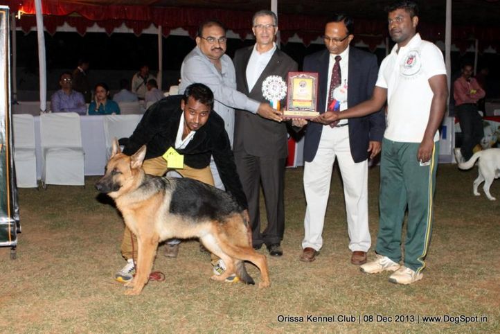 lineup,sw-104,, Orissa Dog Show 2013, DogSpot.in