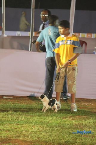 child handler,sw-10,, Orissa Kennel Club 2010, DogSpot.in