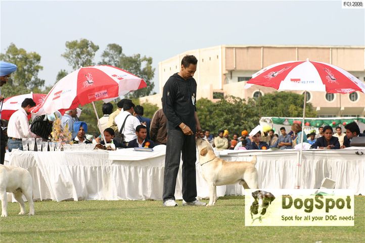 , Patiala Dog Show 2009, DogSpot.in