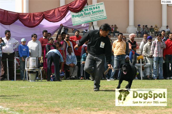 , Patiala Dog Show 2009, DogSpot.in