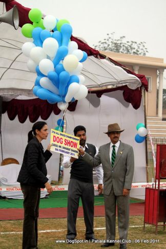 ground,judges,sw-32,, Patiala Kennel Club 2011, DogSpot.in