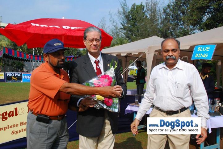 Ground,Judges,committee, Pune 2010, DogSpot.in