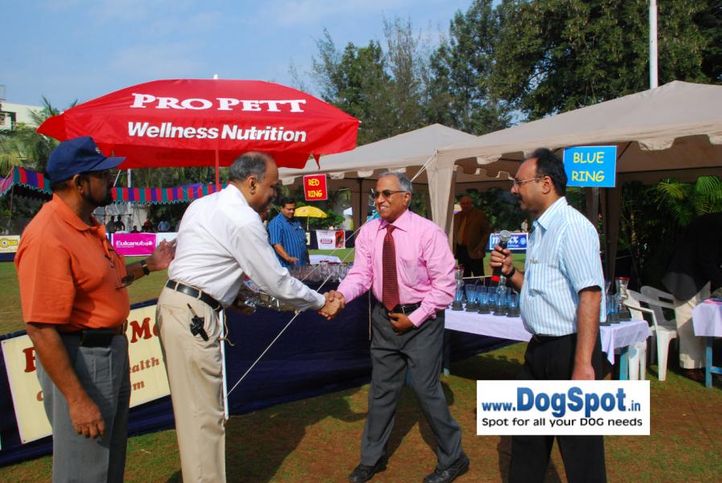 Ring Stewards, Committee, Pune 2010, DogSpot.in