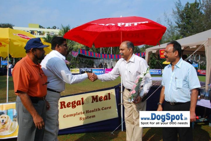 Ring Stewards, Committee, Pune 2010, DogSpot.in