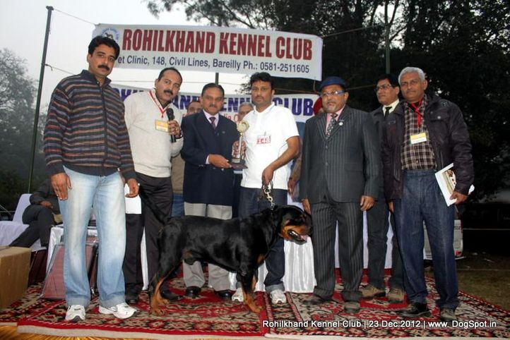 line up,rottweiler,sw-74,, Rohilkhand Dog Show , DogSpot.in