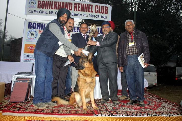 german shepherd,line up,sw-74,, Rohilkhand Dog Show , DogSpot.in