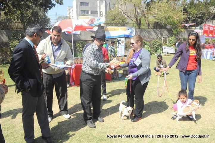 royal kennel club of india dog show 26 feb 2012, Royal Kennel Club Of India Dog Show 26 Feb 2012, DogSpot.in