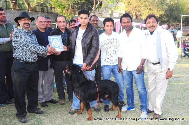 royal kennel club of india dog show 26 feb 2012, Royal Kennel Club Of India Dog Show 26 Feb 2012, DogSpot.in