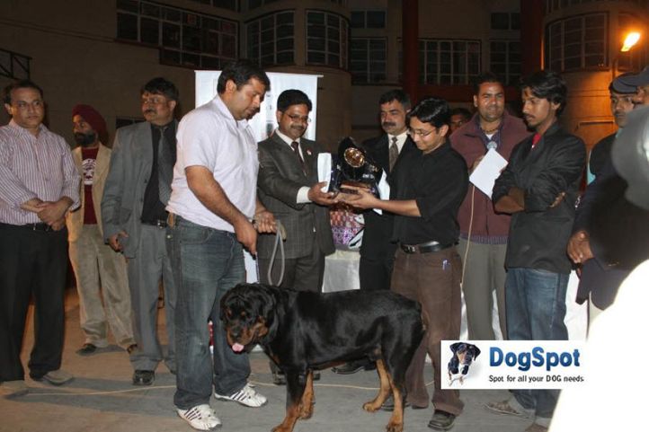 Lineup,Prize,, Royal Kennel Club, DogSpot.in