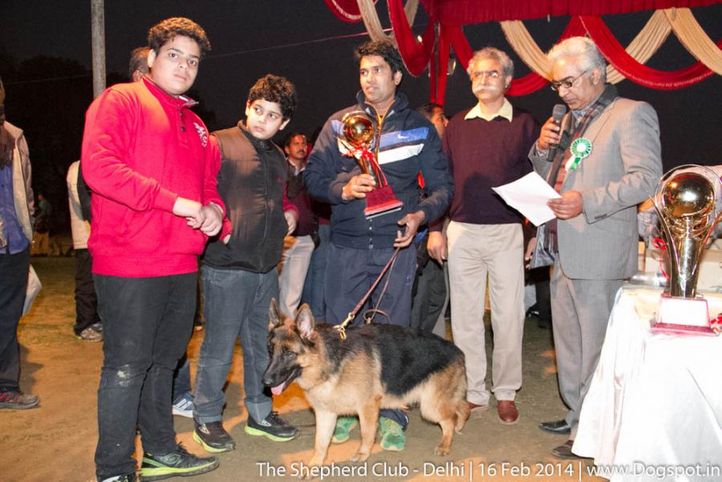 sw-117,prize distribution,, The Shepherd Club- Delhi, DogSpot.in