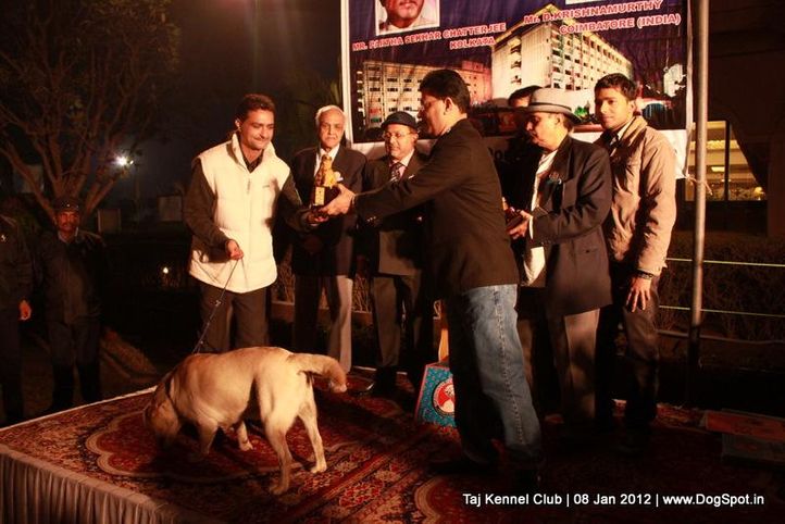 bis,sw-51,, Taj Kennel Club 2012, DogSpot.in